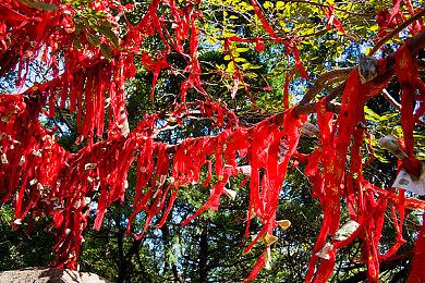 《刺客信条：RED》的女主角可能是这个样子